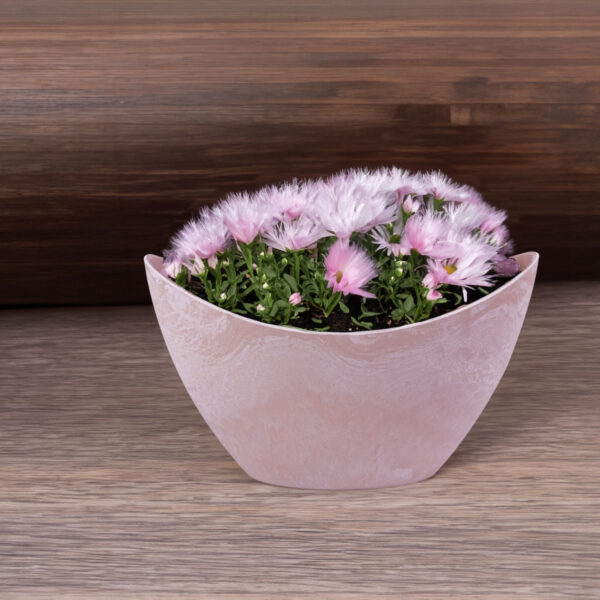 matches21 - Webshop Pflanzschale Blumenschale oval Jardiniere rosa in 2 Groessen 127555 8 1 27