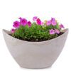 matches21 - Webshop Pflanzschale Blumenschale oval Jardiniere sand beige 2 Groessen 127557 1 28