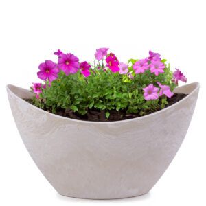 matches21 - Webshop Pflanzschale Blumenschale oval Jardiniere sand beige 2 Groessen 127557 1 34