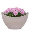 matches21 - Webshop Pflanzschale Blumenschale oval Jardiniere sand beige 2 Groessen 127557 2 1 30