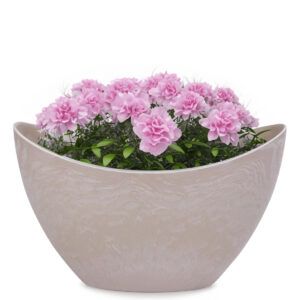 matches21 - Webshop Pflanzschale Blumenschale oval Jardiniere sand beige 2 Groessen 127557 2 1 15