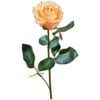 matches21 - Webshop Rosen Madame Kunstblumen Stielrosen Kunstpflanzen Bluete 37 cm 1 Stk 10 Farben 120544 12 1 44