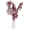 matches21 - Webshop Ruscus Maeusedornen Trockenblumen Boho Naturdeko getrocknet Natur 70 cm 3 Farben 125743 4 1 21