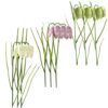 matches21 - Webshop Schachblumen Kiebitzeis Schachbrettblumen Kunststoff Kunstblumen 1 Stk 3 Groessen 123683 1 13