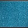 matches21 - Webshop Schmutzfangmatte schmutzabsorbierend Fussmatten Uni einfarbig 90x150 cm 8 Farben 118866 11 1 52