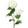 matches21 - Webshop Schneebaelle Kunstblumen kuenstliche Blumen Dekozweige 1 Stk Laenge 48 cm 2 Farben 120524 1 1 11