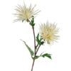 matches21 - Webshop Strahlen Chrysanthemen kuenstlich Deko Blumen Kunstblumen Herbst 1 Stk 3 Farben 119857 2 1 26