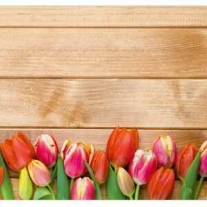 matches21 - Webshop Tischset Platzset MOTIV Fruehling bunte Tulpen auf 1 16