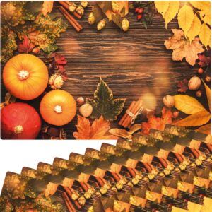 matches21 - Webshop Tischset Platzsets MOTIV abwaschbar Kuerbisse Herbstlaub Zimtstangen Holz bunt 126262 5 1 29