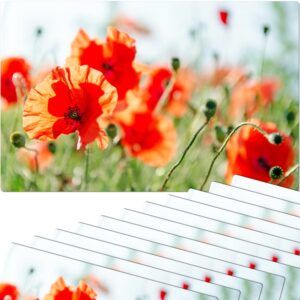 matches21 - Webshop Tischsets Platzsets MOTIV Mohnblumen Mohn Wiese 12 Stk abwaschbar 112142 1 11