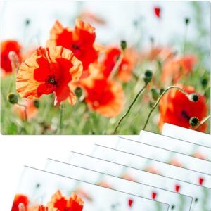 matches21 - Webshop Tischsets Platzsets MOTIV Mohnblumen Mohn Wiese 8 Stk abwaschbar 112141 1 12