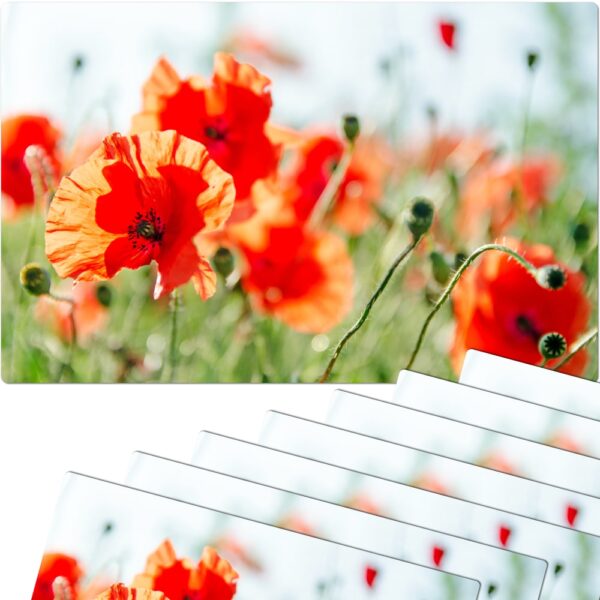 matches21 - Webshop Tischsets Platzsets MOTIV Mohnblumen Mohn Wiese 8 Stk abwaschbar 112141 1 1