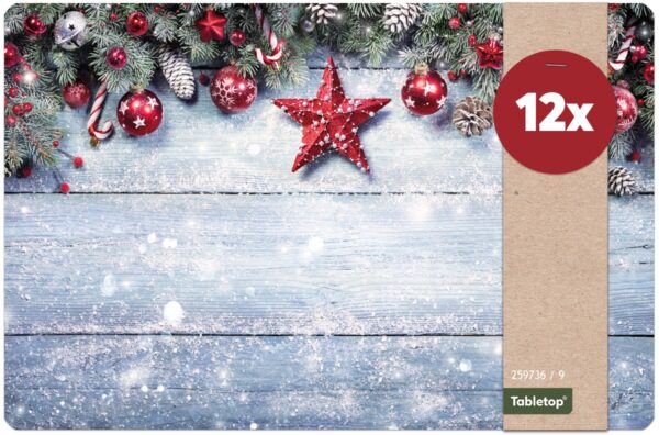 matches21 - Webshop Tischsets Platzsets MOTIV abwaschbar Weihnachten Stern Zweige Schnee Holz 126238 12 1 24