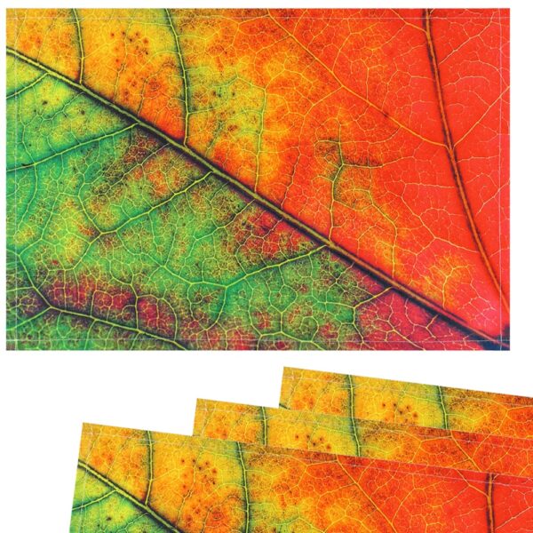 matches21 - Webshop Tischsets Stoff CLOTH waschbar Herbstblatt Blattadern Makro Nahaufnahme rot gruen 126255 2 1 10