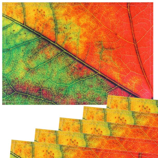 matches21 - Webshop Tischsets Stoff CLOTH waschbar Herbstblatt Blattadern Makro Nahaufnahme rot gruen 126255 3 1 11