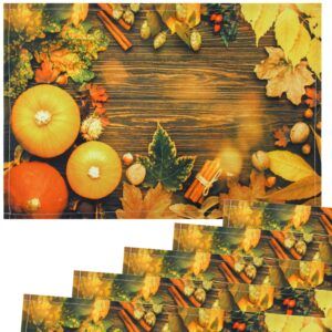 matches21 - Webshop Tischsets Stoff CLOTH waschbar Kuerbisse Herbstlaub Zimtstangen Holz bunt 126254 3 1 4