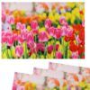 matches21 - Webshop Tischsets Stoff CLOTH waschbar pinke Tulpen Blumenwiese bunt 126332 1 1 14