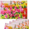 matches21 - Webshop Tischsets Stoff CLOTH waschbar pinke Tulpen Blumenwiese bunt 126332 2 1 15