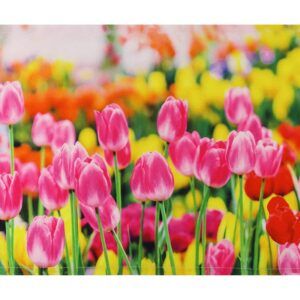 matches21 - Webshop Tischsets Stoff CLOTH waschbar pinke Tulpen Blumenwiese bunt 126332 4 1 27