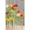 matches21 - Webshop Vasen Glas Dekoglaeser Glasvasen Blumenvasen Zylinder hoch rund 1 Stk 7 Groessen 118437 10 1 37