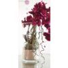 matches21 - Webshop Vasen Glas Dekoglaeser Glasvasen Blumenvasen leicht tailliert 2 Groessen 116057 2 1 22