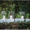 matches21 - Webshop Vasen Glas Dekoglaeser Glasvasen Blumenvasen leicht tailliert 2 Groessen 116057 3 1 24