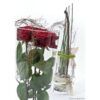 matches21 - Webshop Vasen Glas konisch Dekoglaeser Glasvasen Blumenvasen Bodenvasen hoch 1 Stk 2 Groessen 118440 3 1 26