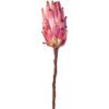 matches21 - Webshop Zuckerbuesche Protea Bluete Kunstblumen Dekoblumen 7x13x51 cm in 3 Farben 125316 3 1 25