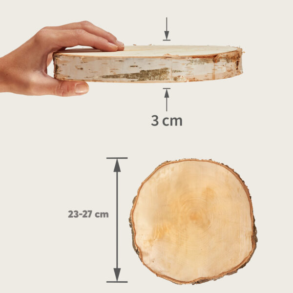 matches21 - Webshop Baumscheiben in 8 45 cm fuer Basteln Dekorieren 127079 13 287