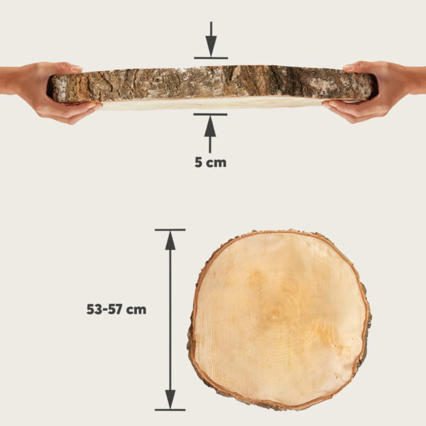 matches21 - Webshop Baumscheiben in 8 45 cm fuer Basteln Dekorieren 127079 19 293